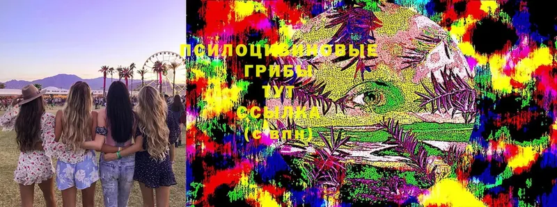 Галлюциногенные грибы Magic Shrooms Богородицк